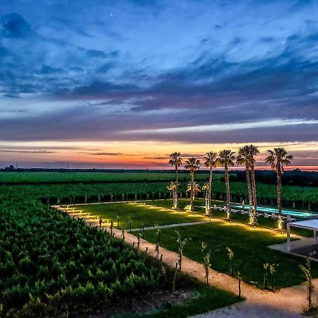 Masseria Torleanzi Wine Relais ซานเปียโตรแวร์โนติโค ภายนอก รูปภาพ