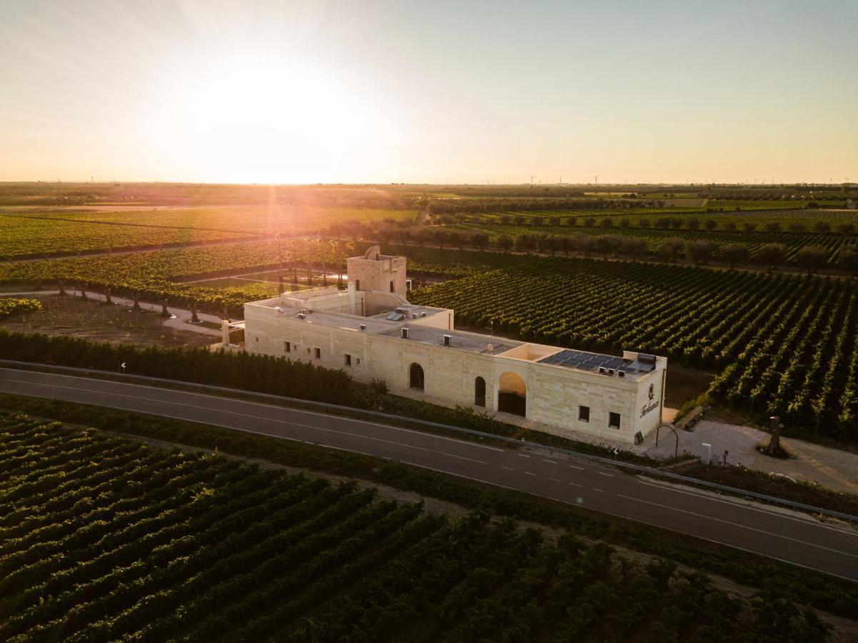Masseria Torleanzi Wine Relais ซานเปียโตรแวร์โนติโค ภายนอก รูปภาพ