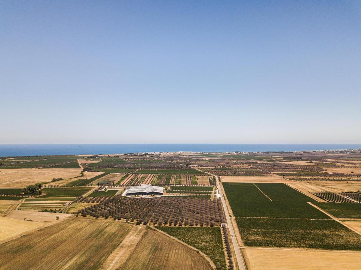 Masseria Torleanzi Wine Relais ซานเปียโตรแวร์โนติโค ภายนอก รูปภาพ