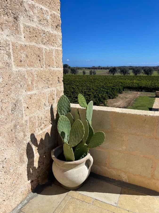 Masseria Torleanzi Wine Relais ซานเปียโตรแวร์โนติโค ภายนอก รูปภาพ